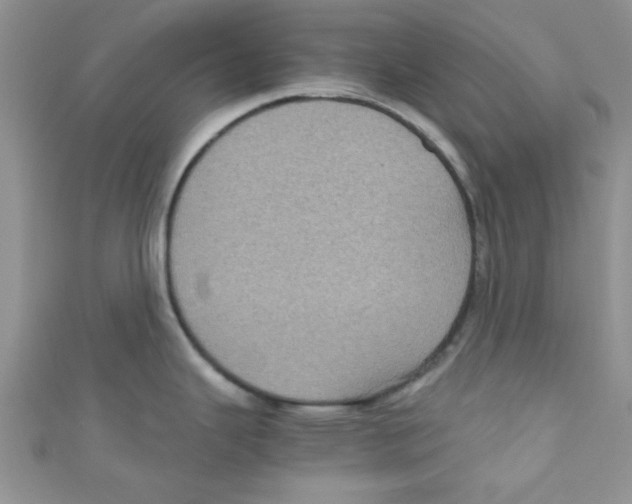 X0000111011343200907171826