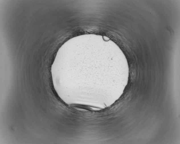 X0000111011345200907171826