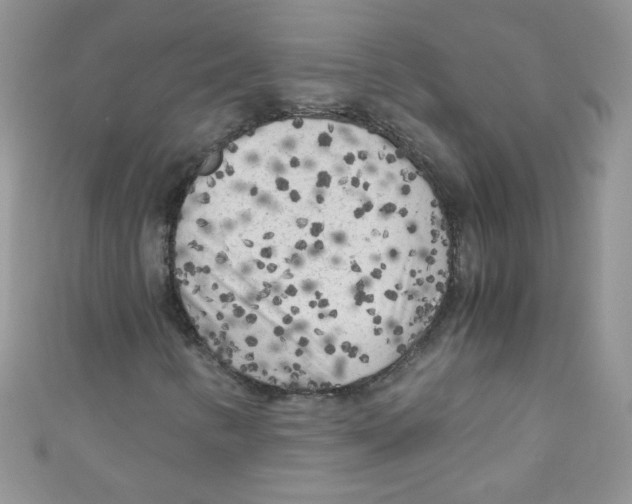 X0000111011346200907171826