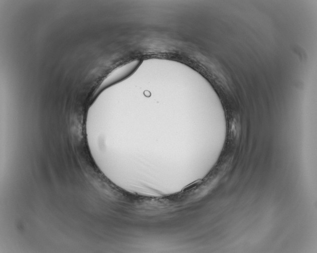 X0000111011348200907171826