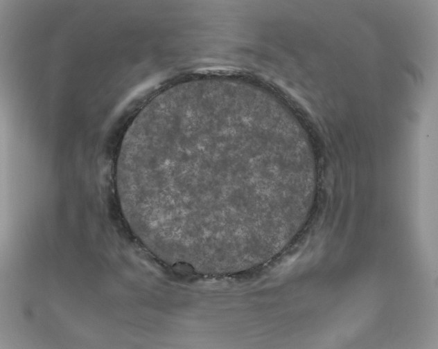 X0000111011351200907171826