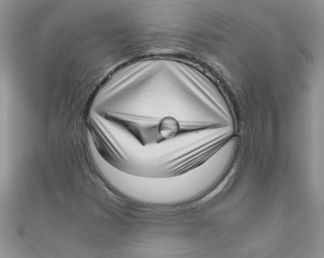 X0000111011353200907171826