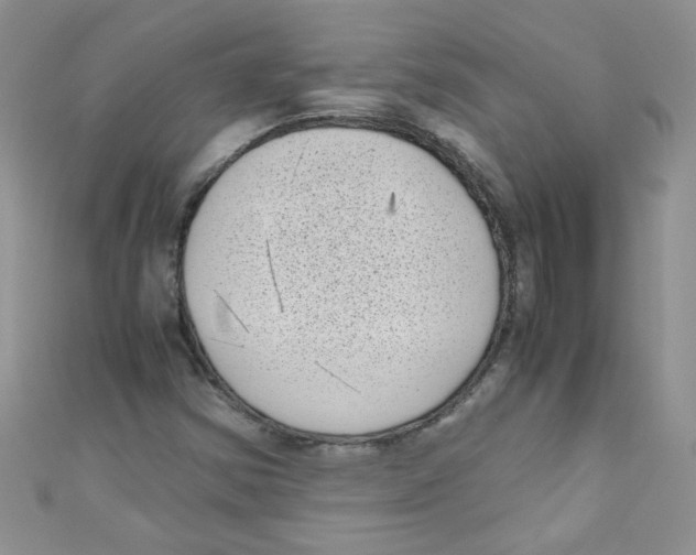 X0000111011354200907171826