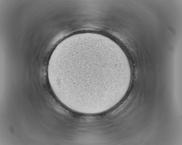 X0000111011355200907171826