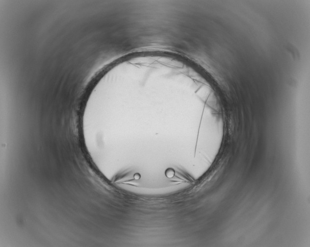 X0000111011356200907171826
