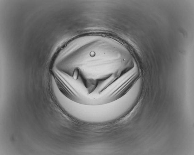 X0000111011357200907171826