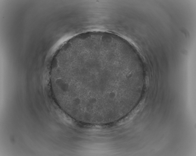 X0000111011359200907171826