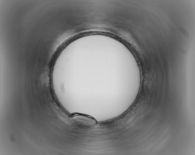 X0000111011360200907171826
