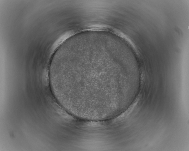X0000111011362200907171826
