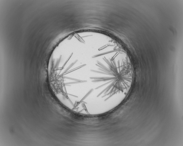 X0000111011363200907171826