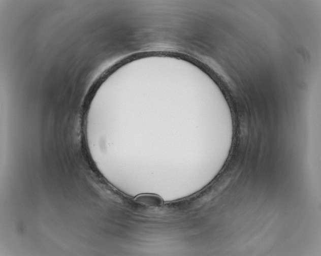 X0000111011364200907171826