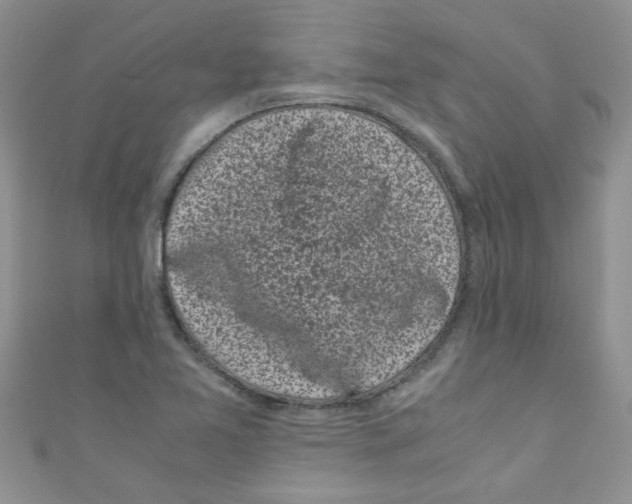 X0000111011365200907171826