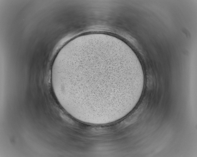X0000111011366200907171825