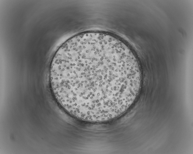 X0000111011367200907171825