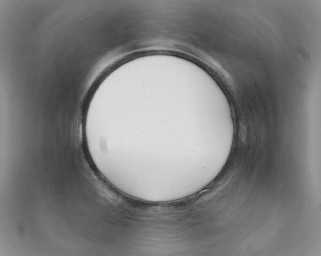 X0000111011368200907171825