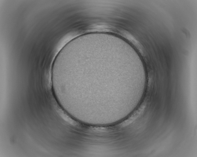 X0000111011370200907171825