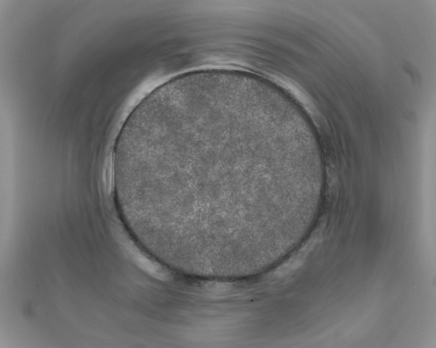X0000111011371200907171825