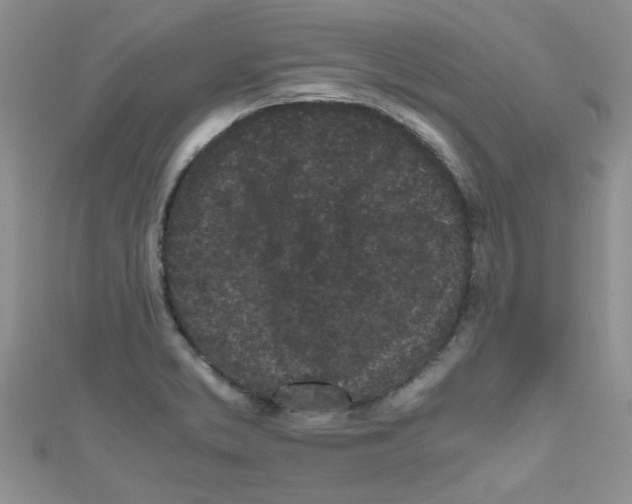 X0000111011373200907171825