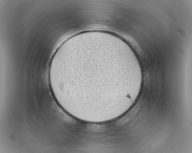 X0000111011374200907171825