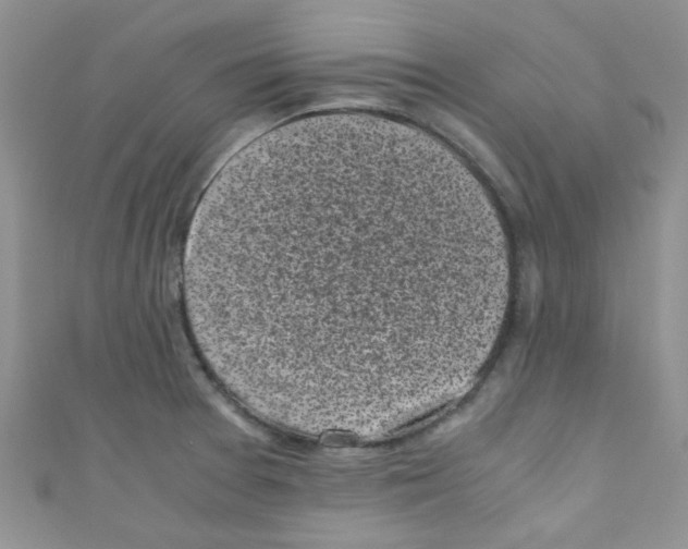 X0000111011377200907171825