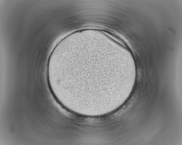 X0000111011379200907171825