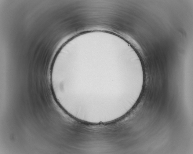 X0000111011380200907171825