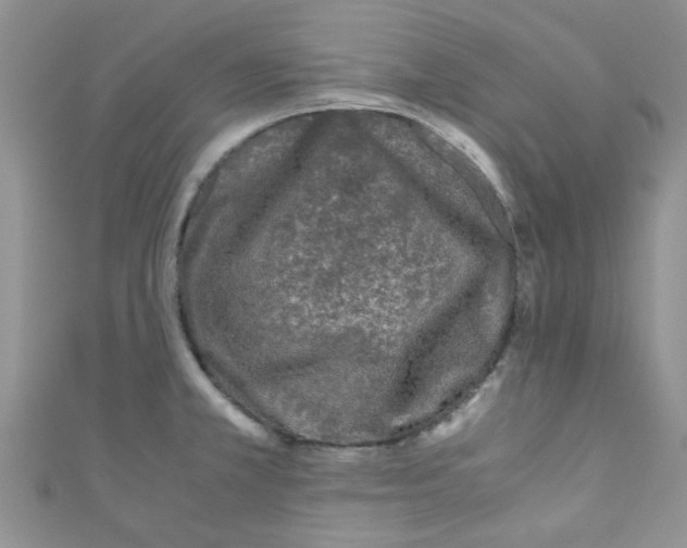 X0000111011381200907171825