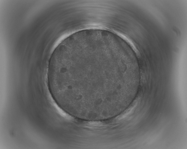 X0000111011383200907171825