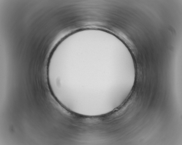 X0000111011384200907171825