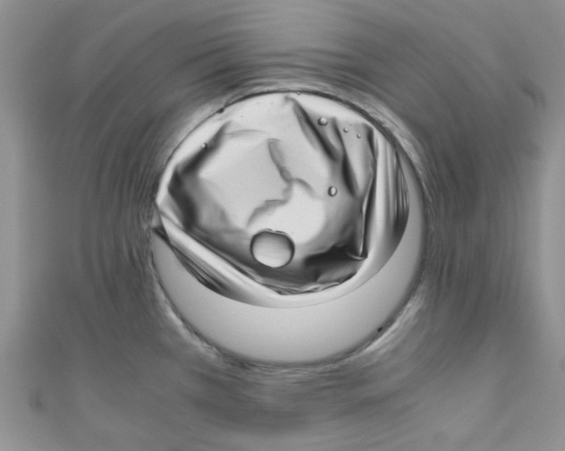 X0000111011385200907171825