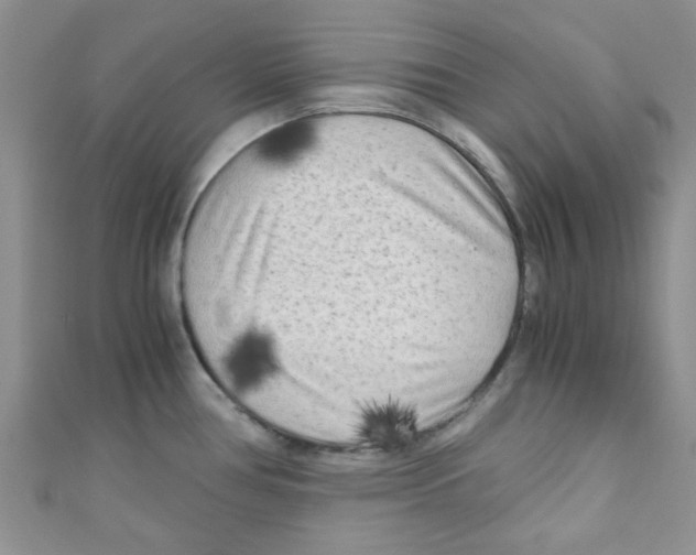 X0000111011386200907171825