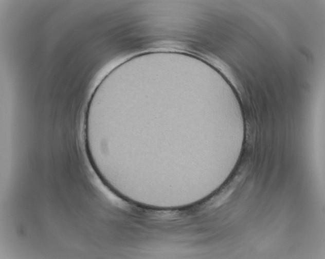 X0000111011387200907171825