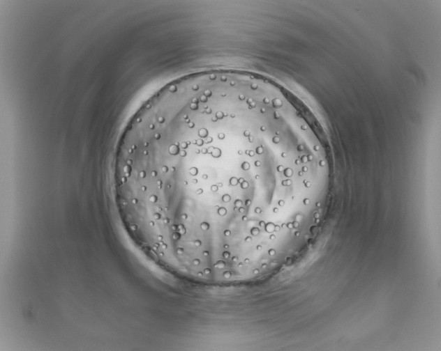 X0000111011389200907171825