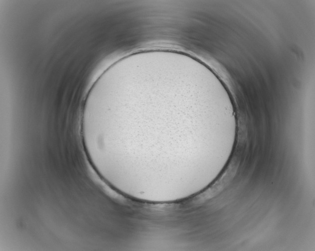 X0000111011390200907171825