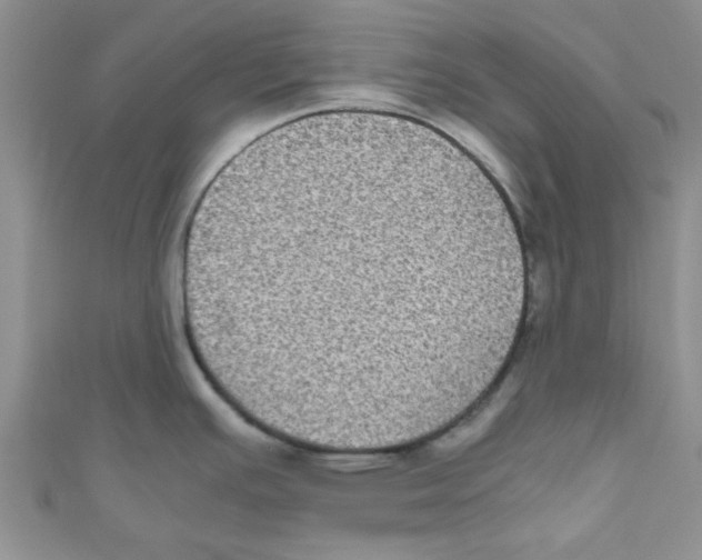 X0000111011391200907171825