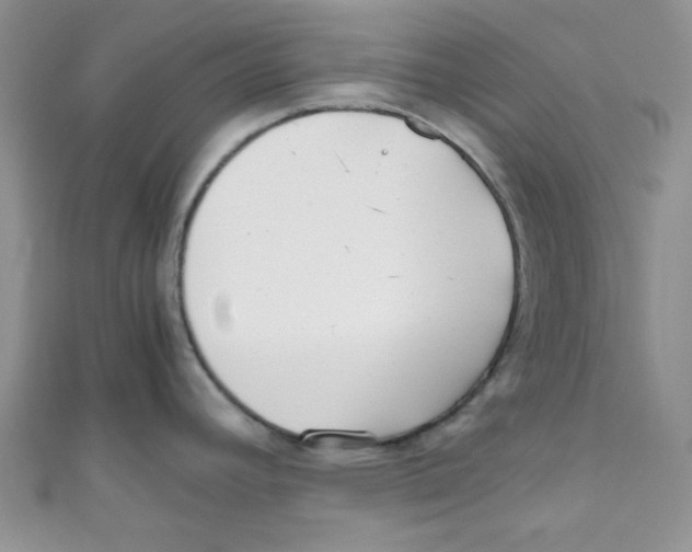 X0000111011392200907171825