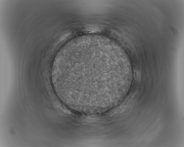 X0000111011393200907171825