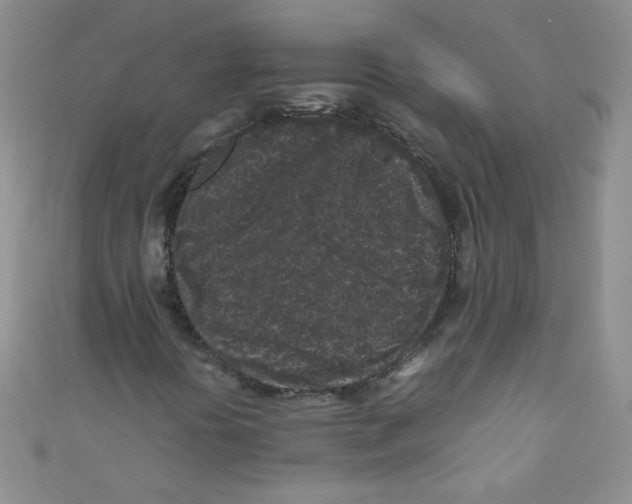X0000111011394200907171825