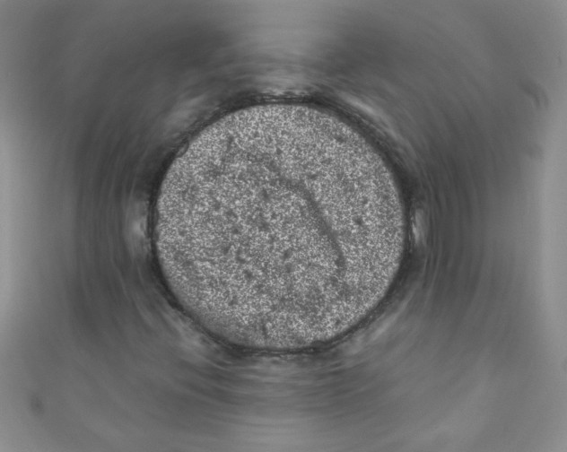 X0000111011396200907171825