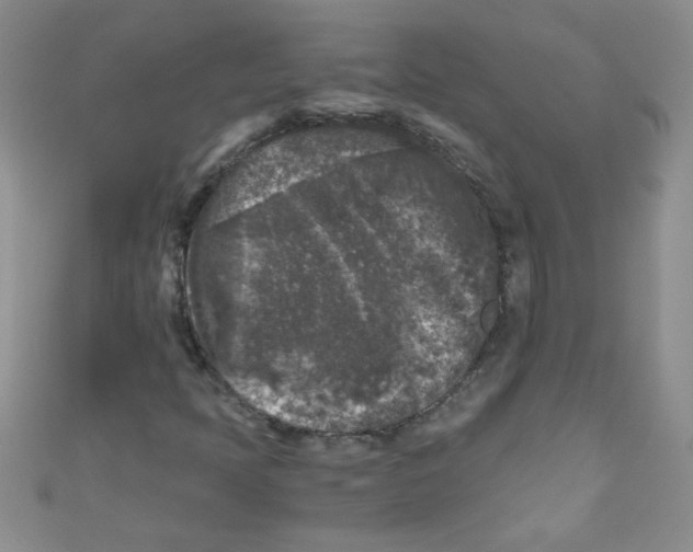 X0000111011397200907171825