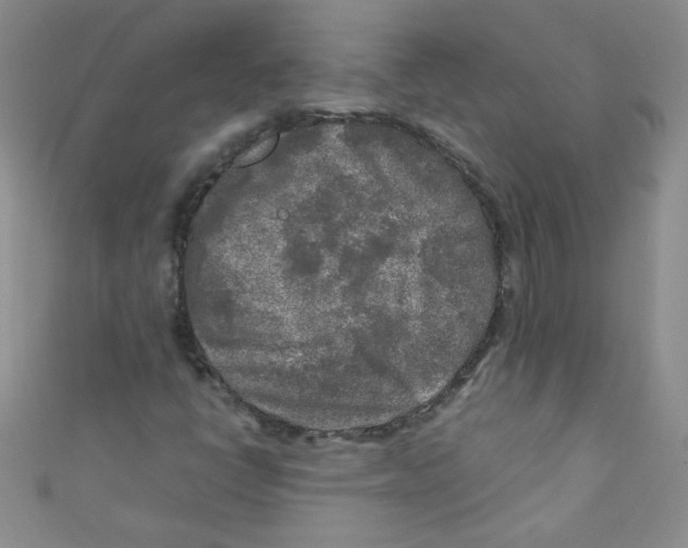 X0000111011398200907171825