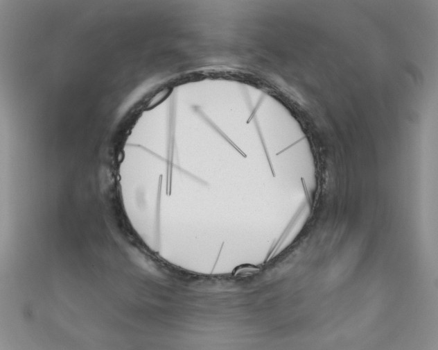 X0000111011400200907171825