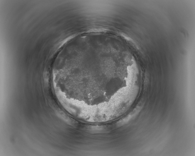 X0000111011401200907171825