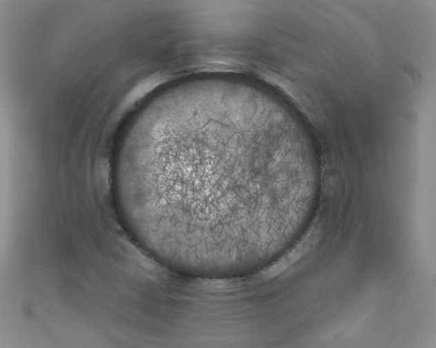 X0000111011402200907171825