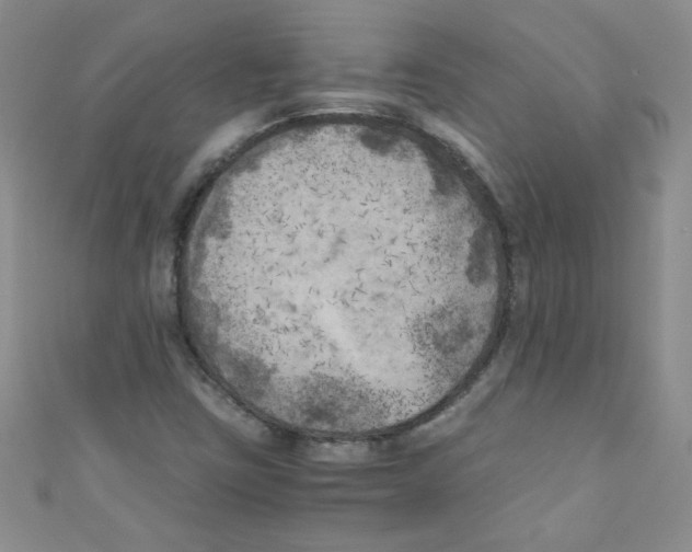 X0000111011403200907171825