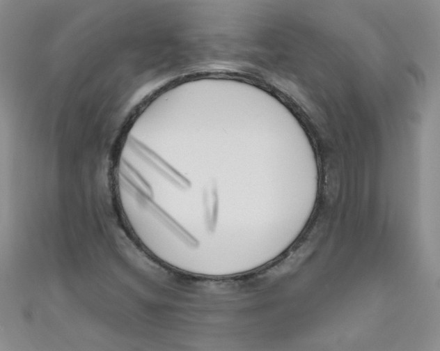 X0000111011404200907171825