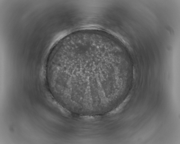 X0000111011405200907171825