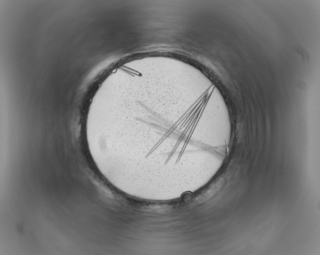 X0000111011406200907171825