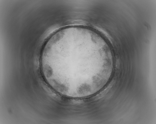 X0000111011407200907171825