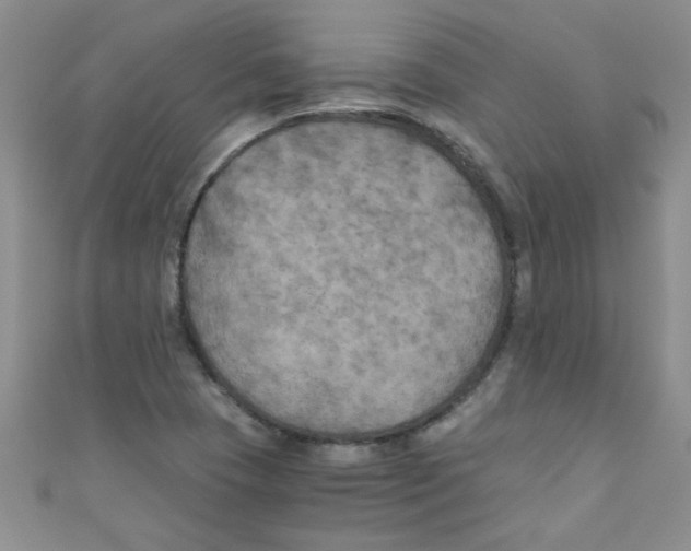 X0000111011409200907171825